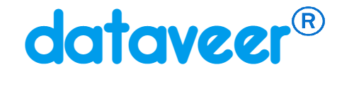 Dataveer Inc.